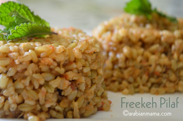 A close up of a plate of food with Freekeh