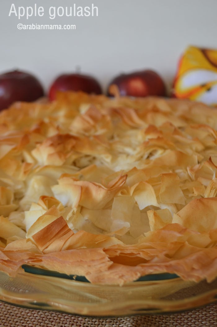 A close up of food, with Apple pie and Phyllo pastry