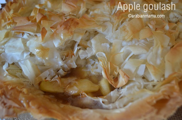 A close up of food, with Apple pie and Phyllo pastry