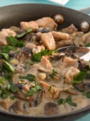 Chicken in mushrrom sauce in a skillet.