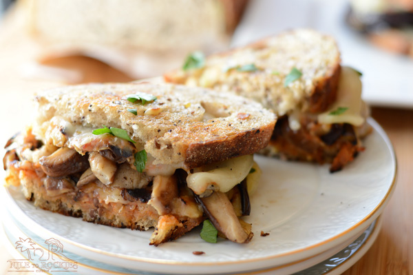 A close up of a plate of food, with Mushroom and Cheese