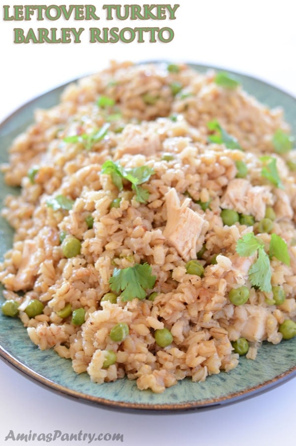 A plate of food with rice, Chicken and Barley