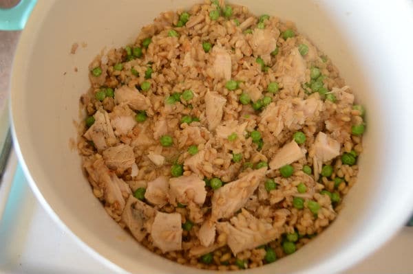 A bowl of food, with Turkey and Barley inside