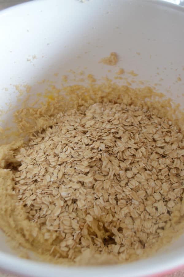 A photo showing a bowl of mixture and oats