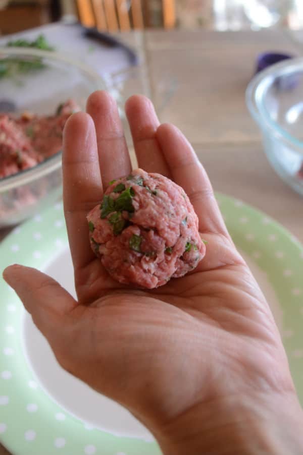 A piece of food on a hand, with beef ball