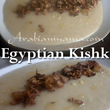 A bowl of food on a plate, with Egyptian Kishk