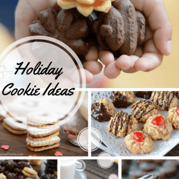 A round up of the best holiday cookie ideas