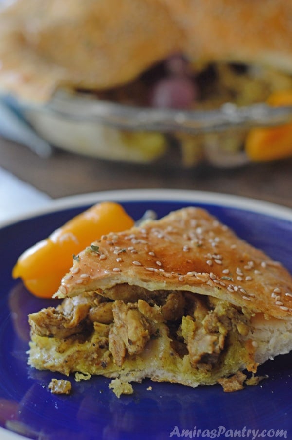 A close up of a plate of food, with Shawarma and Chicken in a bread