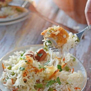 A close up of a plate of food, with Rice and Chicken