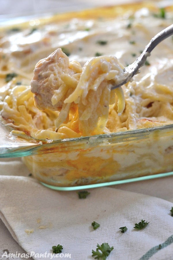 Cheesy Chicken Tetrazzini Amira S Pantry