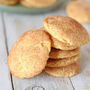 A snickerdoodle cookie sitting on top of a table