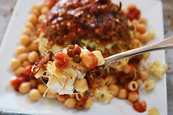 A spoon holding Egyptian Koshari with the whole plate in the background