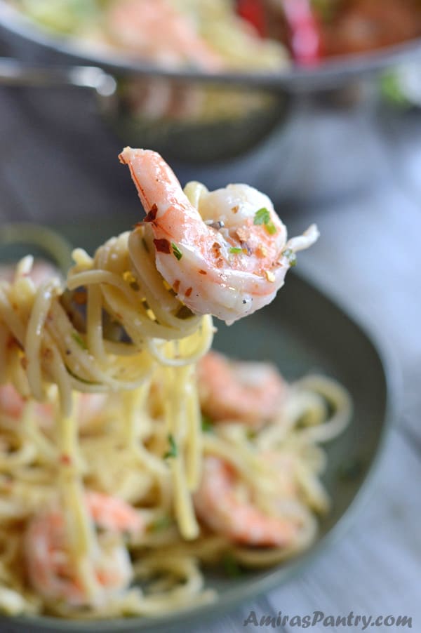 A close up of a bowl of Pasta with sauce, with Shrimp Scampi