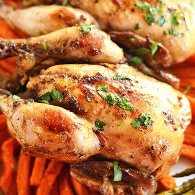 A close up of cornish hen on carrots on a plate