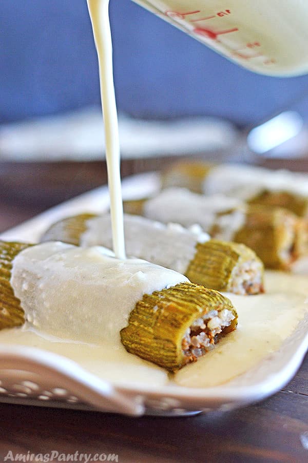 A photo showing stuffed Zucchini on a plate, with Yogurt