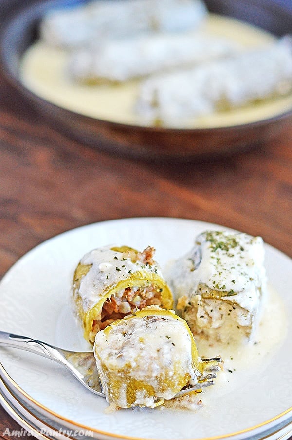 A photos showing stuffed Zucchini on a plate with Yogurt