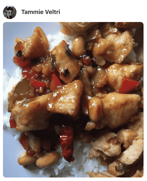 A plate of food, with Kung Pao chicken made by a fan