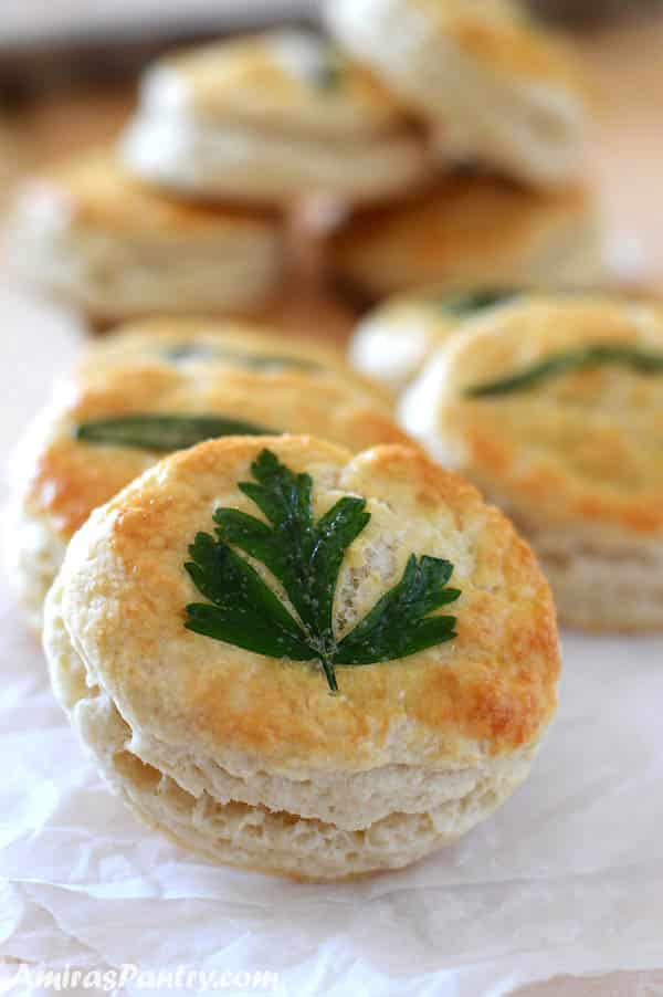 Biscuits on a crumbled parchment paper with one on the front that has a parsley leaf.