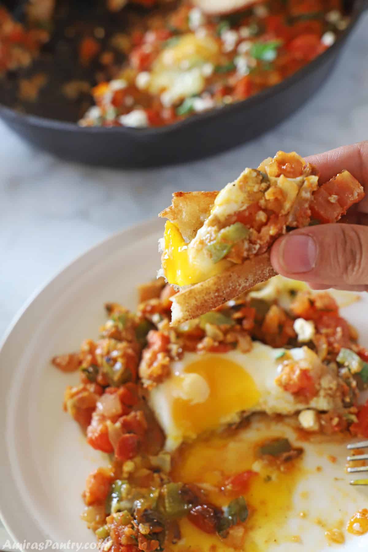 A hand scooping some shakshuka with crusty bread.