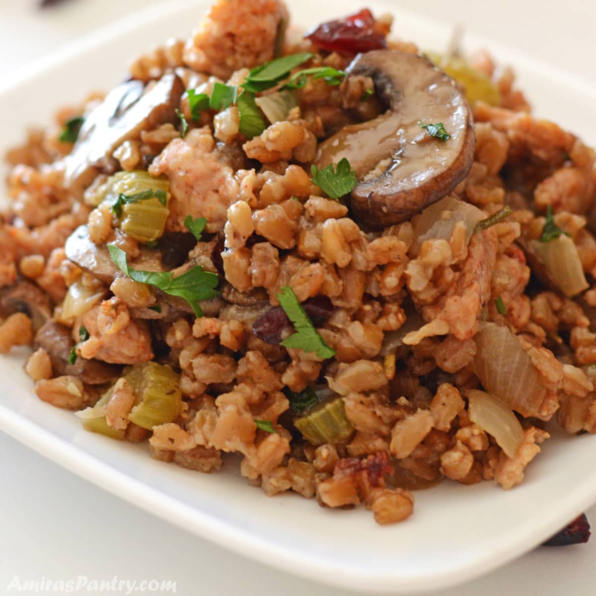 Farro stuffing in a white plate garnished with chopped parsley.