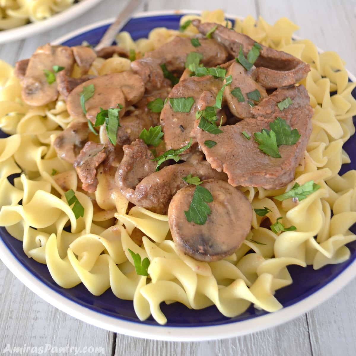 A blur plate filled with beef stroganoff on egg noodles.