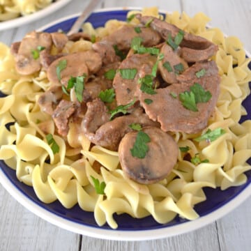 A blur plate filled with beef stroganoff on egg noodles.
