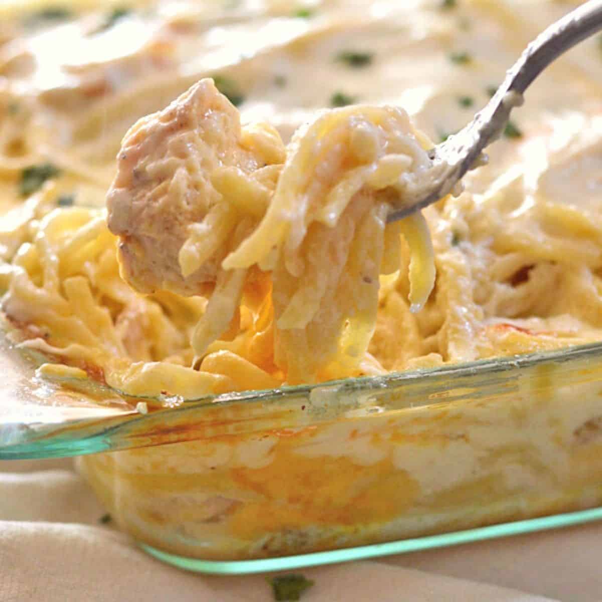 Cheesy Chicken Tetrazzini-image