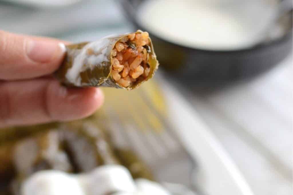 Egyptian Stuffed Grape Leaves (Warak Enab) Amira's Pantry