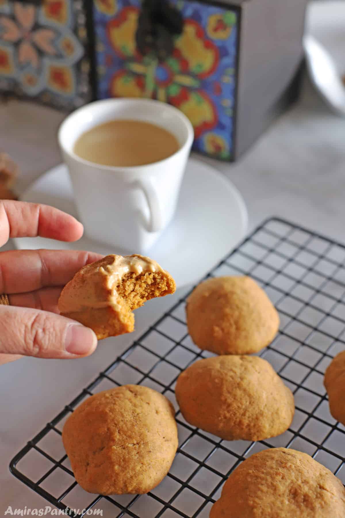 A hand holding one cookies with a bite taken from it.