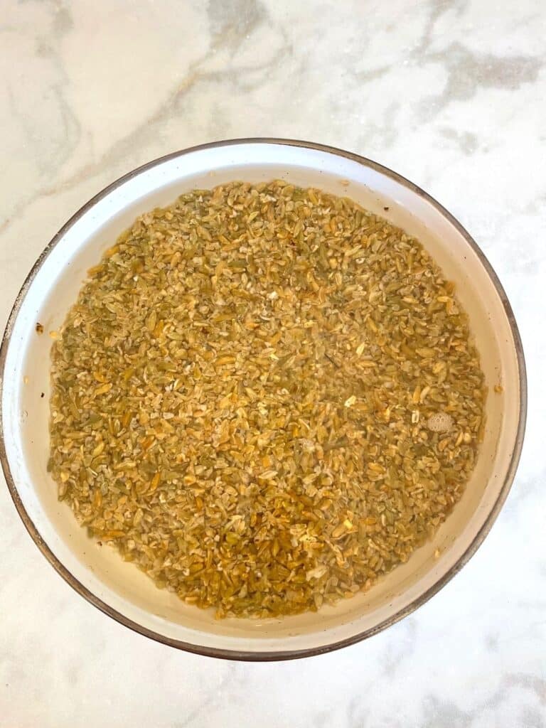 Freekeh in a bowl soaked in water.