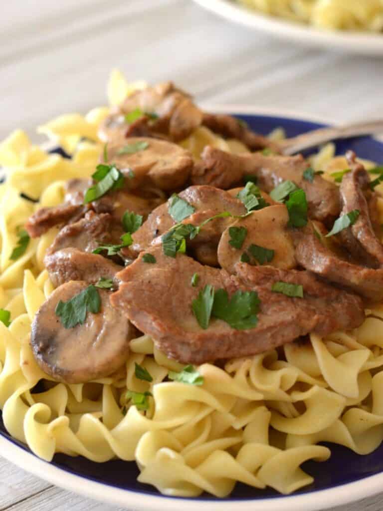 A close up look at a plate with beef stroganoff.