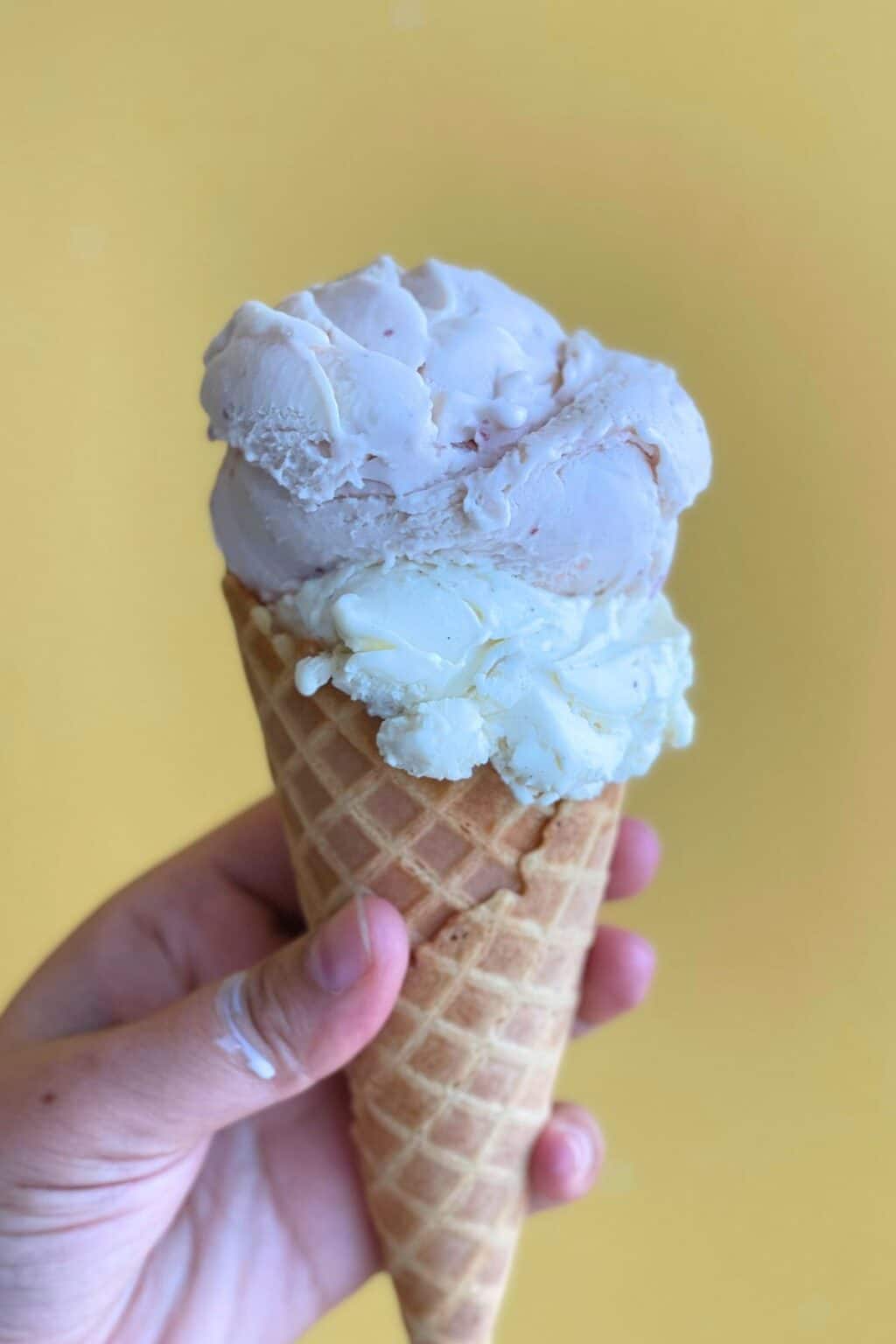 Condensed Milk Ice Cream (3Ingredient, No Churn) Amira's Pantry