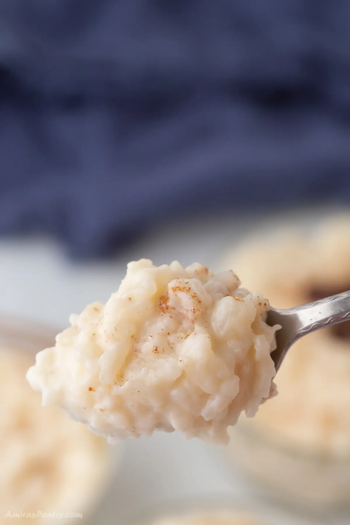 A spoon scooping some creamy rice pudding.