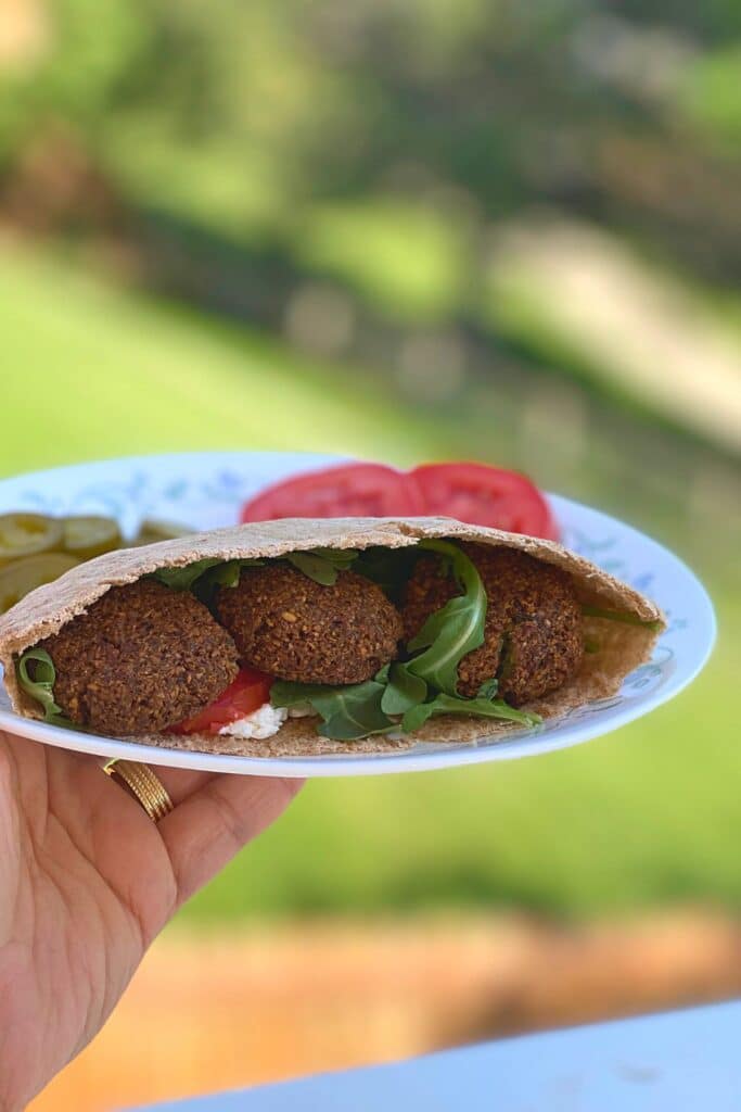 A hand holding a plate with falafel sandwich.