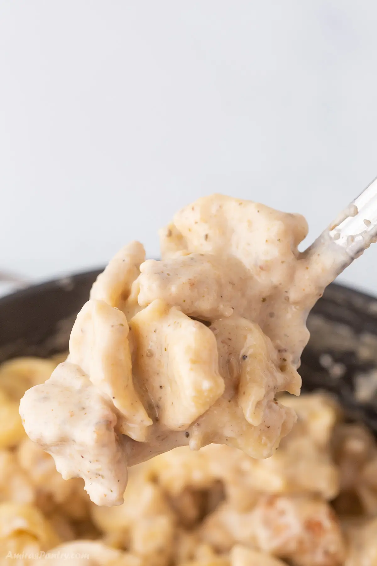 A spoon scooping some chicken tortellini alfredo. Panera Chicken Tortellini Alfredo (Copycat Recipe) Panera Chicken Tortellini Alfredo (Copycat Recipe) panera chicken tortellini pasta iii