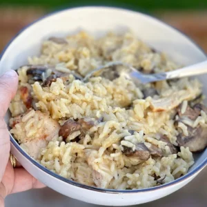A hand holding a bowl of cracker barrel chicken and rice in a garden.