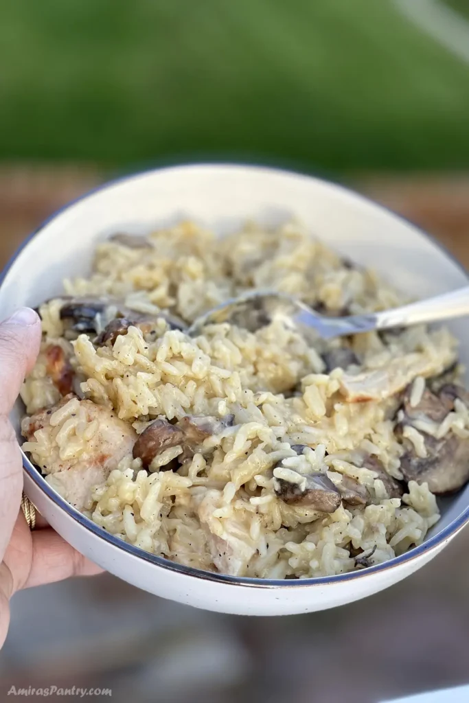 A hand holding a bowl of cracker barrel chicken and rice in a garden.