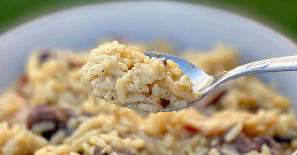 Cracker Barrel Chicken and Rice (Creamy Stovetop Recipe) - Amira's Pantry