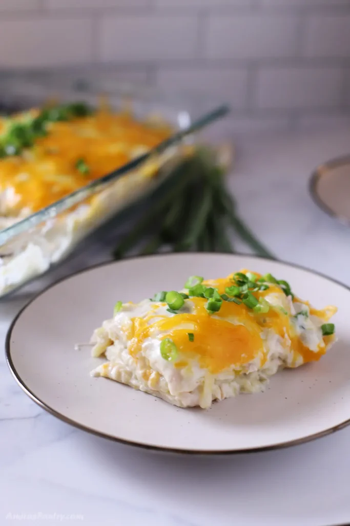 A piece of chicken enchilada on a white plate.