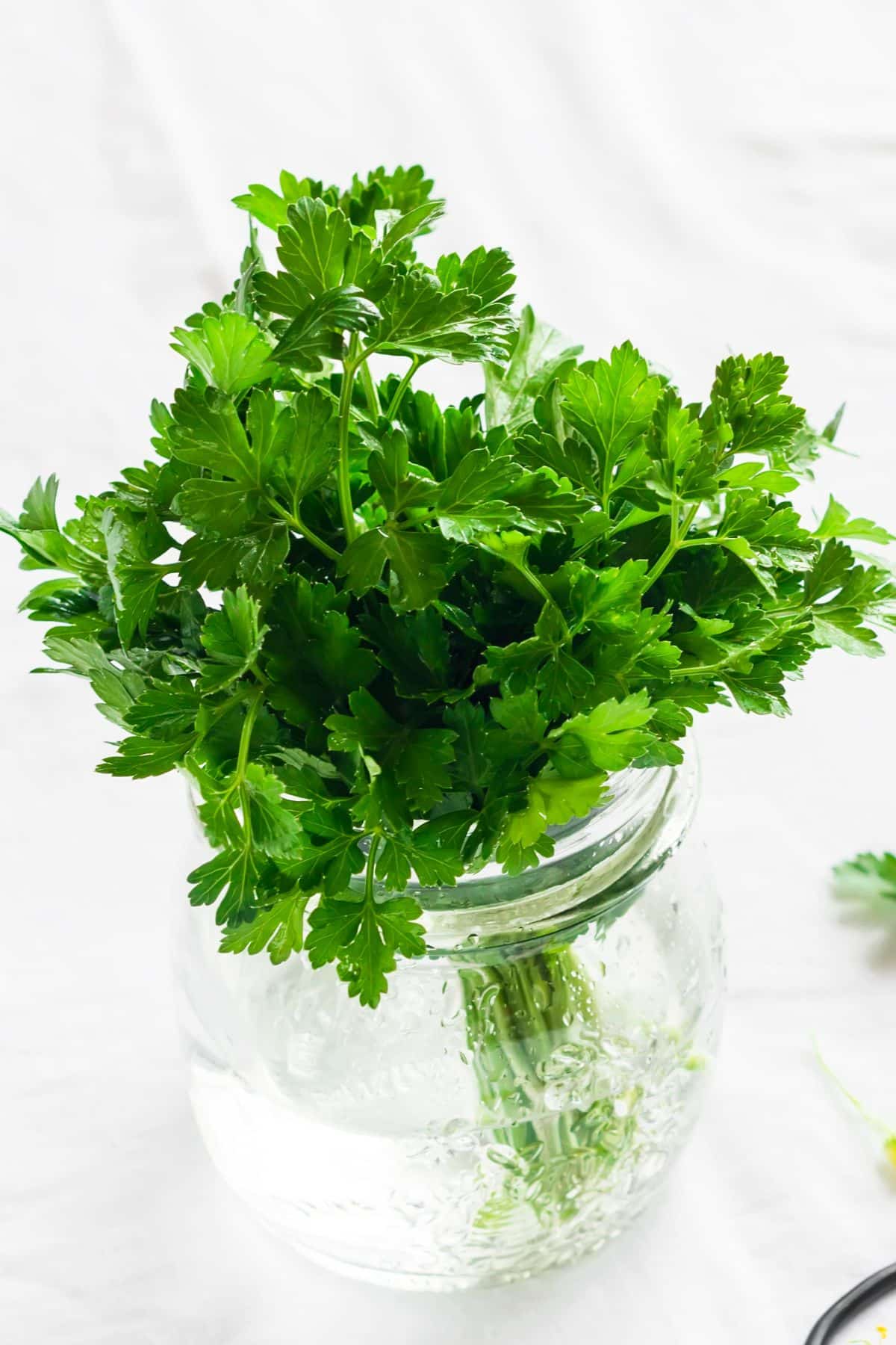 A bunch of fresh parsley in a jar.