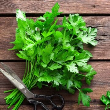 Fresh parsley on a wooden surface with a pair of scissors.