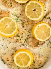 A bird's eye image of part of a slow cooker with creamy chicken garnished with sliced lemons.