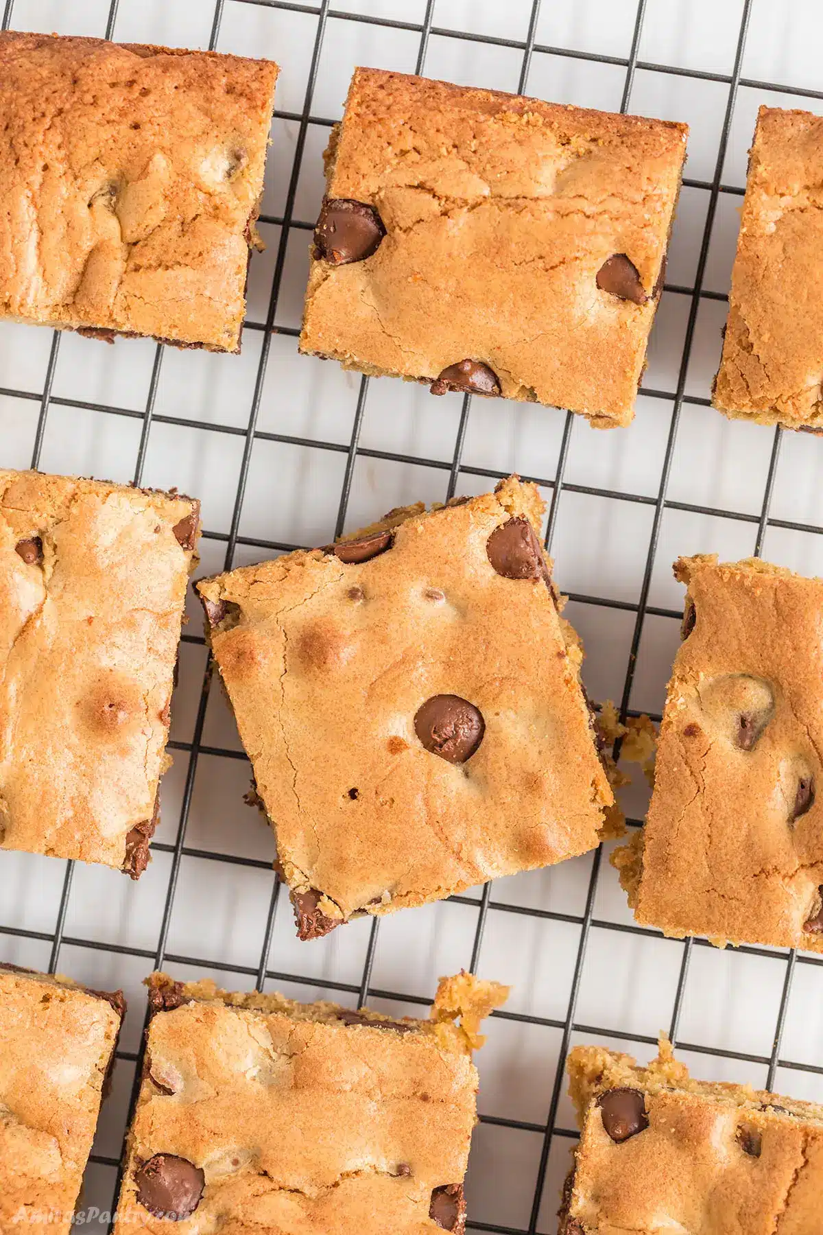 Chocolate blondies squares on a cooling rack.