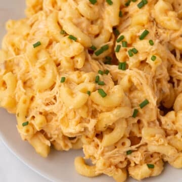 A white plate with a serving of buffalo chicken mac and cheese.