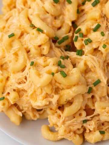 A white plate with a serving of buffalo chicken mac and cheese.