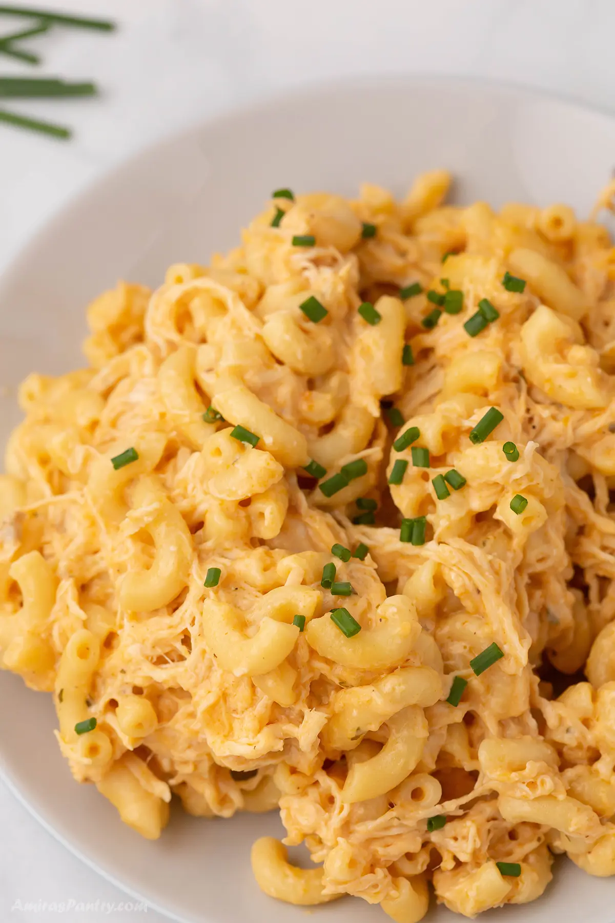 A close up look at a white plate with buffalo mac and cheese.
