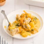 A white dinner plate with cheesy broccoli casserole with a fork.