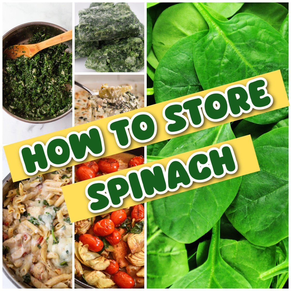 How to Store Spinach (Best Ways to Keep them Longer) - Amira's Pantry