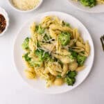 White dinner plate with broccoli pasta.