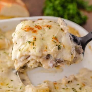 A close up image of a spatula with a serving of chicken lasagna.